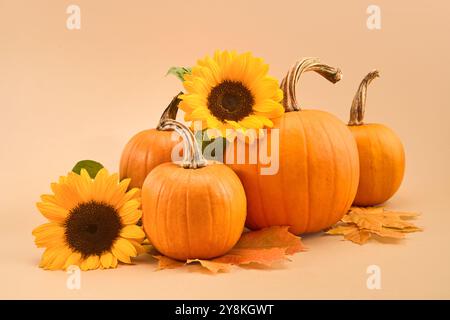 Citrouilles, tournesols et feuilles d'automne sur fond beige. Banque D'Images