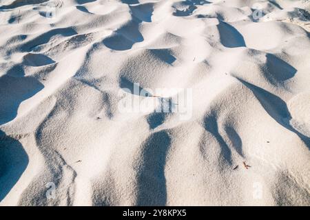 Célèbre sable blanc de Hyams Beach, Jervis Bay, Nouvelle-Galles du Sud, Australie Banque D'Images