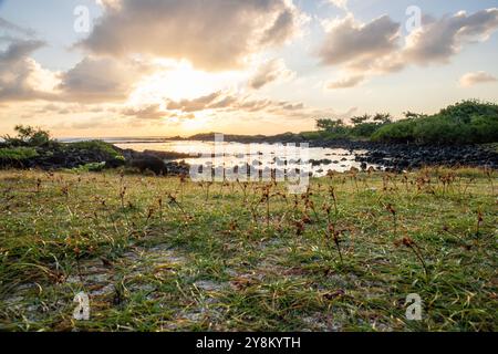 Coucher de soleil sur la plage à Maurice. ces magnifiques couchers de soleil sur de telles plages de rêve ne peuvent être trouvés qu'ici Banque D'Images