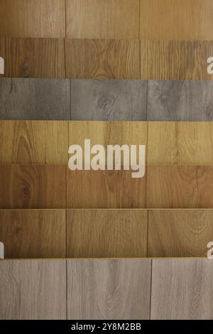 Beaucoup d'échantillons différents de plancher en bois, gros plan Banque D'Images