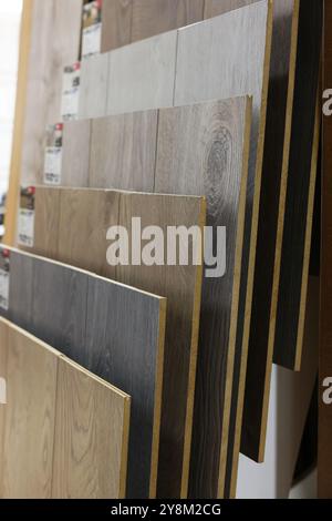 Beaucoup d'échantillons différents de plancher en bois en magasin Banque D'Images