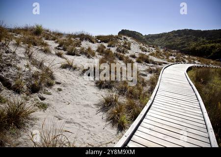 Passerelle en bois Nouvelle Zélande Île du Sud Côte Ouest Banque D'Images