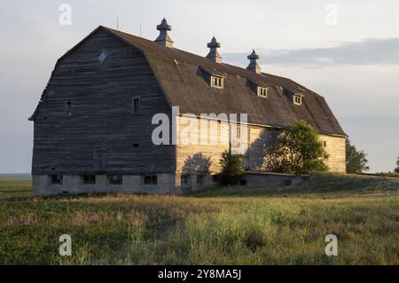 Prairie Barn Saskatchewan scène rurale estivale Canada Banque D'Images