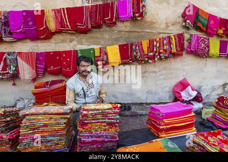 Marchand de tissu et de tissu, marché, Jodhpur, Rajasthan, Inde, Asie Banque D'Images