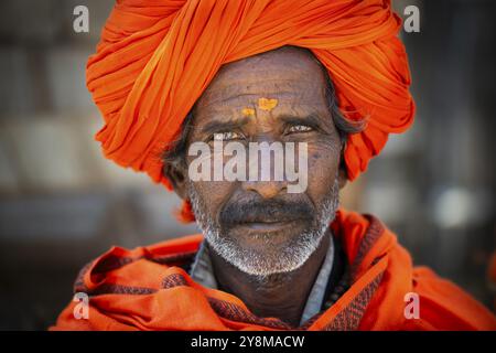 Homme avec turban orange et bindi jaune sur le front, portrait, Fort de Chittorgarh, Chittorgarh, Rajasthan, Inde, Asie Banque D'Images