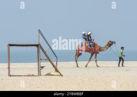 Touristes indiens à cheval chameau, plage, Alappuzha ou Alleppy, Kerala, Inde, Asie Banque D'Images