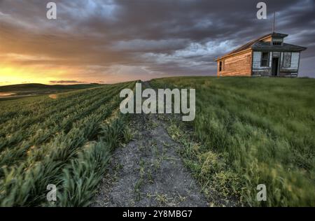 Nuages de tempête au coucher du soleil nad blé dur Banque D'Images