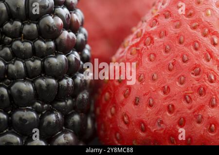 Strawberry et Blackberry Close up studio macro Banque D'Images