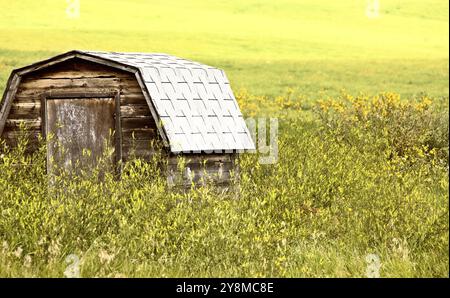 Prairie Barn Saskatchewan scène rurale estivale Canada Banque D'Images