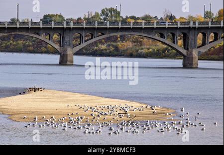 Rivière Saskatchewan Nord Saskatoon Banque D'Images