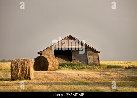 Prairie Barn Saskatchewan scène rurale estivale Canada Banque D'Images