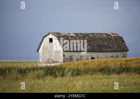 Prairie Barn Saskatchewan scène rurale estivale Canada Banque D'Images