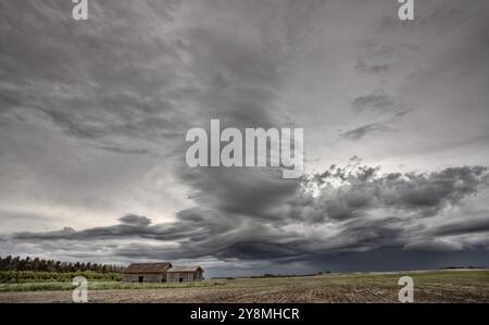 Ferme abandonnée avec les nuages de tempête dans les Prairies canadiennes Banque D'Images