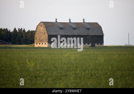 Prairie Barn Saskatchewan scène rurale estivale Canada Banque D'Images