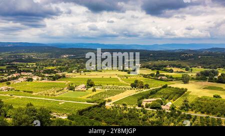 Vue imprenable sur des vignobles luxuriants nichés dans des collines par un jour nuageux dans la campagne française, les montagnes du Luberon, la France, le Vaucluse. Serene la Banque D'Images