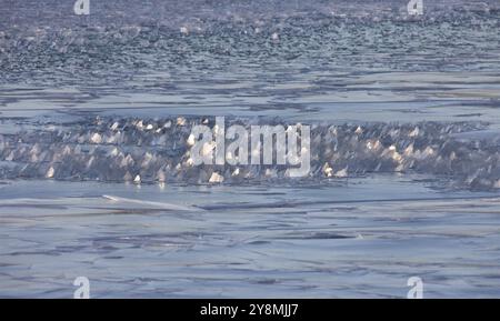 Cristaux de glace se formant sur le lac Saskatchewan Canada Banque D'Images