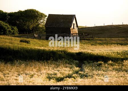 Prairie Barn Saskatchewan scène rurale estivale Canada Banque D'Images