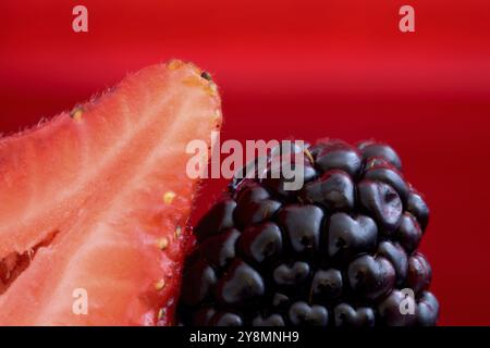 Strawberry et Blackberry Close up studio macro Banque D'Images