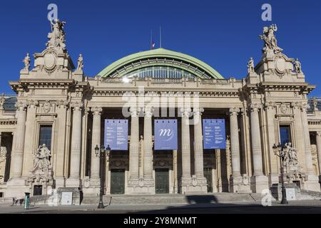 Grand Palais, Paris, Ile de France, France, Europe Banque D'Images