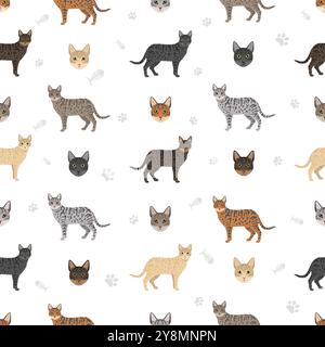 Modèle sans couture égyptien Mau Cat. Toutes les couleurs de manteau sont définies. Infographie des caractéristiques de toutes les races de chats. Illustration vectorielle Illustration de Vecteur