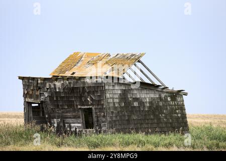 Prairie Barn Saskatchewan scène rurale estivale Canada Banque D'Images