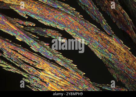 Cristaux d'acide acétylsalicylique au microscope et en lumière polarisée Banque D'Images