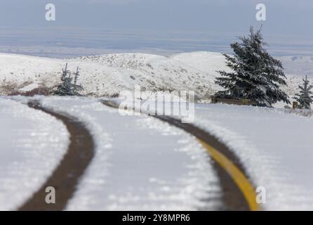 Première neige de Cypress Hills Alberta Saskatchewan Canada Banque D'Images