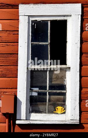 Vieille fenêtre maison abandonnée Saskatchewan Canada Banque D'Images