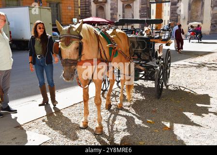 Lucques, Italie. 15 septembre 2024. Calèche avec cheval pour conduire les touristes autour de Lucques. Photo de haute qualité Banque D'Images