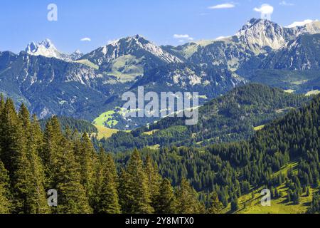 Vue depuis le Hochgrat près de Oberstaufen (Bavière, Allemagne) Banque D'Images