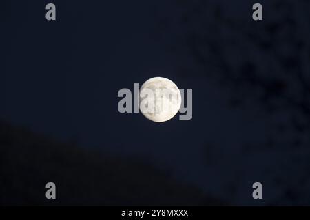 Pleine lune Canada sillouette super Dark Sky Banque D'Images