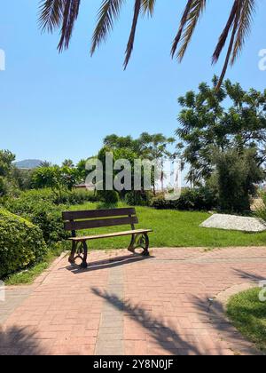 Scène de parc vert avec un banc en bois entouré de verdure vibrante et de fleurs sous un ciel bleu clair. Le cadre invite à la détente et à la réflexion Banque D'Images