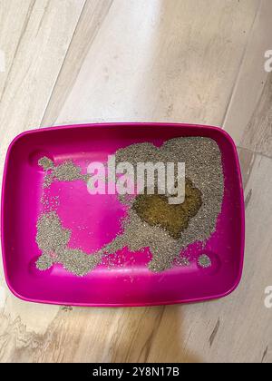 Motif en forme de coeur formé dans un bac à litière sable pour chat, surprenant découvrir à l'intérieur d'un bac à litière pour animaux domestiques sur un plancher en bois. Insister sur l'inattendu Banque D'Images