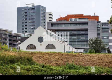 Paysage urbain avec différents immeubles d'appartements et de bureaux sur la rive de la Meuse, petit bâtiment triangulaire blanc, jour nuageux à Maastricht, Limbu Sud Banque D'Images