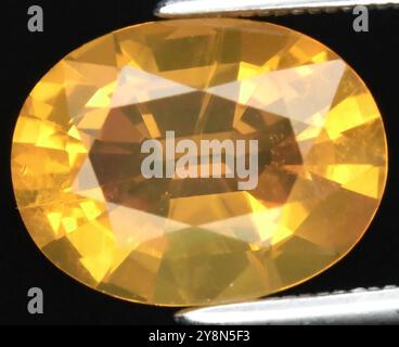 Pierre précieuse saphir jaune naturel à coupe ovale brillante avec facettes complexes et éclat éclatant. Banque D'Images
