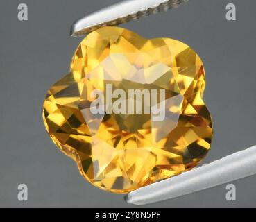 Pierre précieuse citrine jaune rayonnant élégamment découpée en forme florale. Banque D'Images