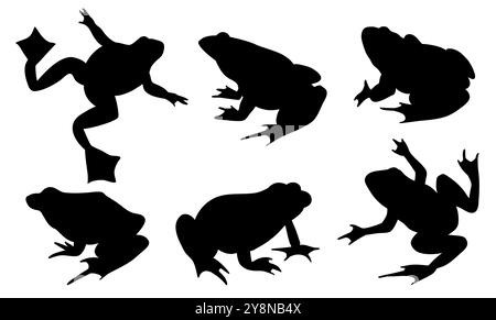 Grenouilles et crapauds ensemble de différentes espèces dans différentes poses. Différentes sortes de grenouilles. Silhouettes vectorielles noires sur fond blanc Illustration de Vecteur