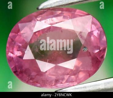 Exquis Oval Cut Natural Pink Tourmaline Gemstone sur un fond vert tranquille. Banque D'Images