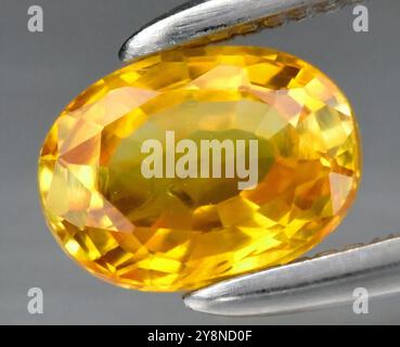 Captivante pierre précieuse saphir jaune naturel coupe ovale scintillante sous une lumière douce. Banque D'Images