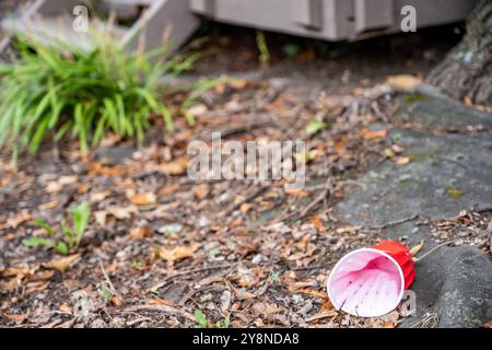 Tasses en plastique rouge écrasées et jetées après une fête universitaire Banque D'Images