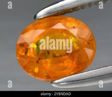 Pierres précieuses orange ambre exquises avec inclusions uniques présentées dans un cadre professionnel. Banque D'Images