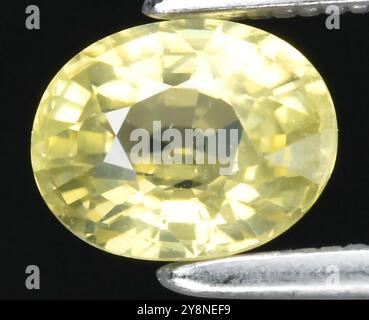 Gemme captivante de saphir jaune naturel coupe ovale avec une clarté et un lustre exceptionnels. Banque D'Images