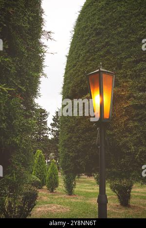 Lampadaire dans le parc. Lampadaire lumineux parmi les arbres dans le parc du soir Banque D'Images