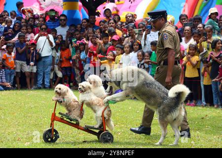 Colombo, Sri Lanka. 6 octobre 2024. Des chiens de la force canine du département de police sri-lankais se produisent dans un parc à Colombo, Sri Lanka, le 6 octobre 2024. Crédit : Ajith Perera/Xinhua/Alamy Live News Banque D'Images