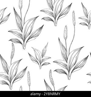 Motif graphique sans couture dessiné à la main plantain. Ornement avec des feuilles de plantain dessinées à l'encre. Illustration de Vecteur