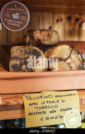 Magasin de fromage Pecorino à Pienza, Italie. Belles roues de fromages Pecorino vieillis et aromatisés sur l'affichage. Banque D'Images