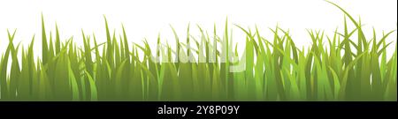 L'herbe verte fraîche isolé sur fond blanc Illustration de Vecteur