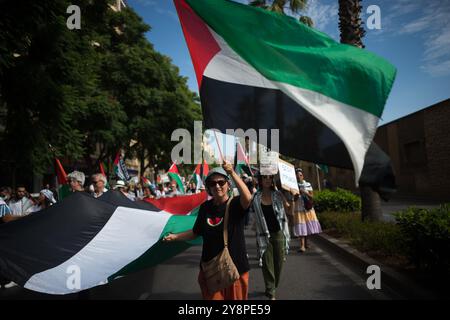 Malaga, Espagne. 06 octobre 2024. Un manifestant agite un drapeau palestinien lors d'une manifestation mondiale contre le génocide en Palestine suite à l'escalade du conflit au moyen-Orient. La veille de l’anniversaire des attentats du 7 octobre et du début de la guerre entre Israël et le Hamas, des milliers de personnes descendent dans les rues de la ville de Malaga en solidarité avec le Liban et la Palestine pour exiger la fin du commerce des armes avec Israël et de l’occupation militaire israélienne en Palestine. Crédit : SOPA images Limited/Alamy Live News Banque D'Images