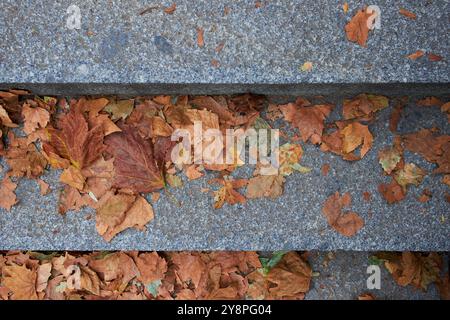 vue aérienne aérienne de haut en bas des feuilles d'automne sur des marches grises en béton Banque D'Images