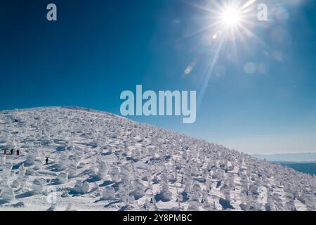 Arbres gelés de neige et de glace sur un après-midi d'hiver ensoleillé et bleu ciel Banque D'Images